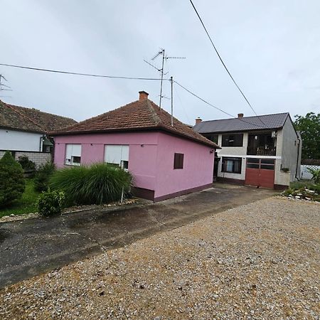 Apartmani, Sobe Ziza Bezdan Extérieur photo