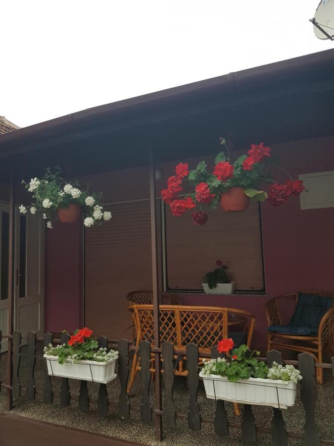 Apartmani, Sobe Ziza Bezdan Extérieur photo