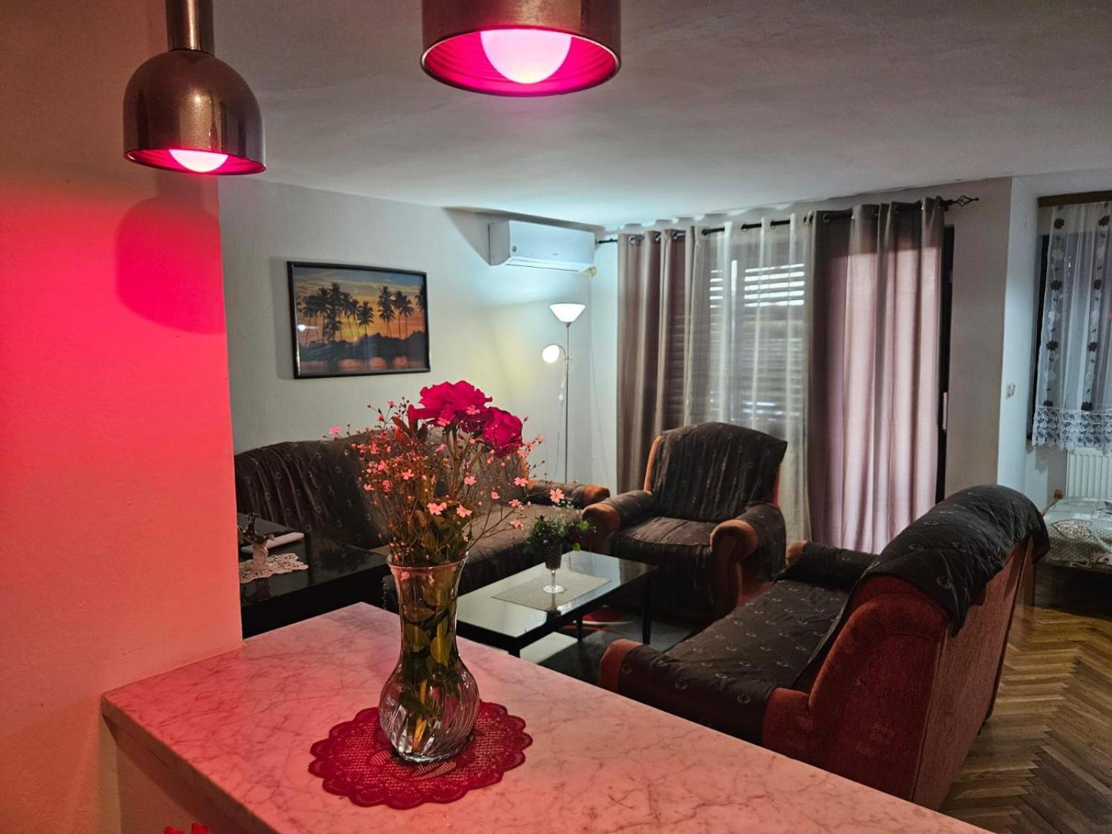 Apartmani, Sobe Ziza Bezdan Extérieur photo