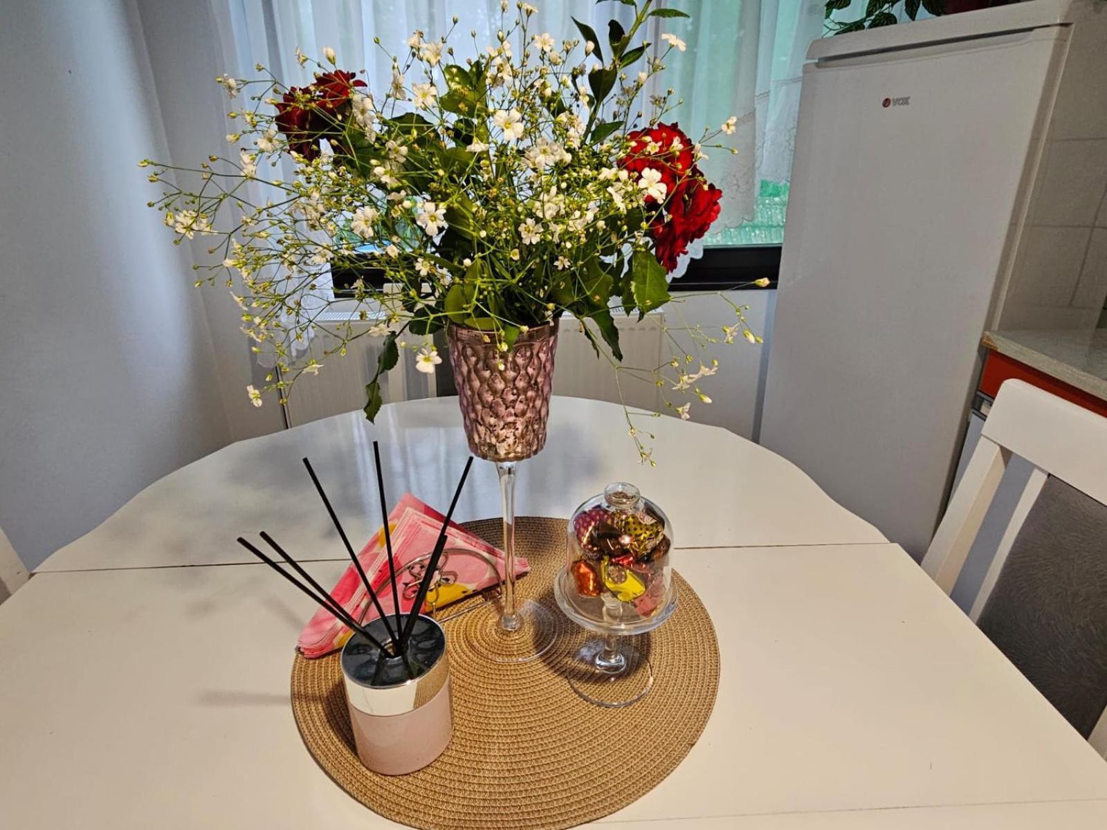 Apartmani, Sobe Ziza Bezdan Extérieur photo