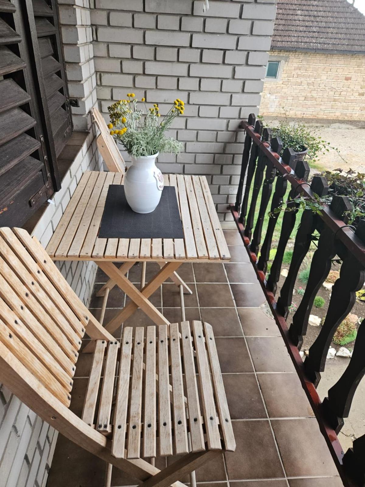 Apartmani, Sobe Ziza Bezdan Extérieur photo